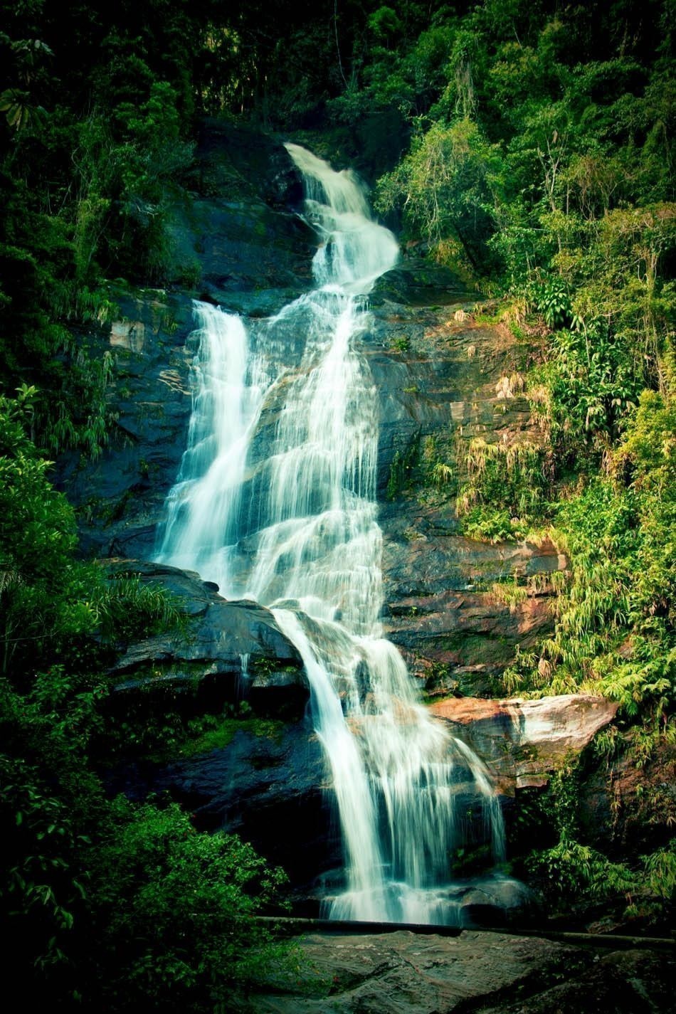 Waterfall in Tijuca National Park in Rio de Janeiro | Brazil Travel Guide