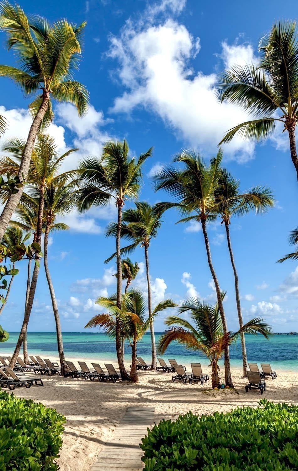 Luxury Resort Beach in Punta Cana | Dominican Republic Free Travel Guide