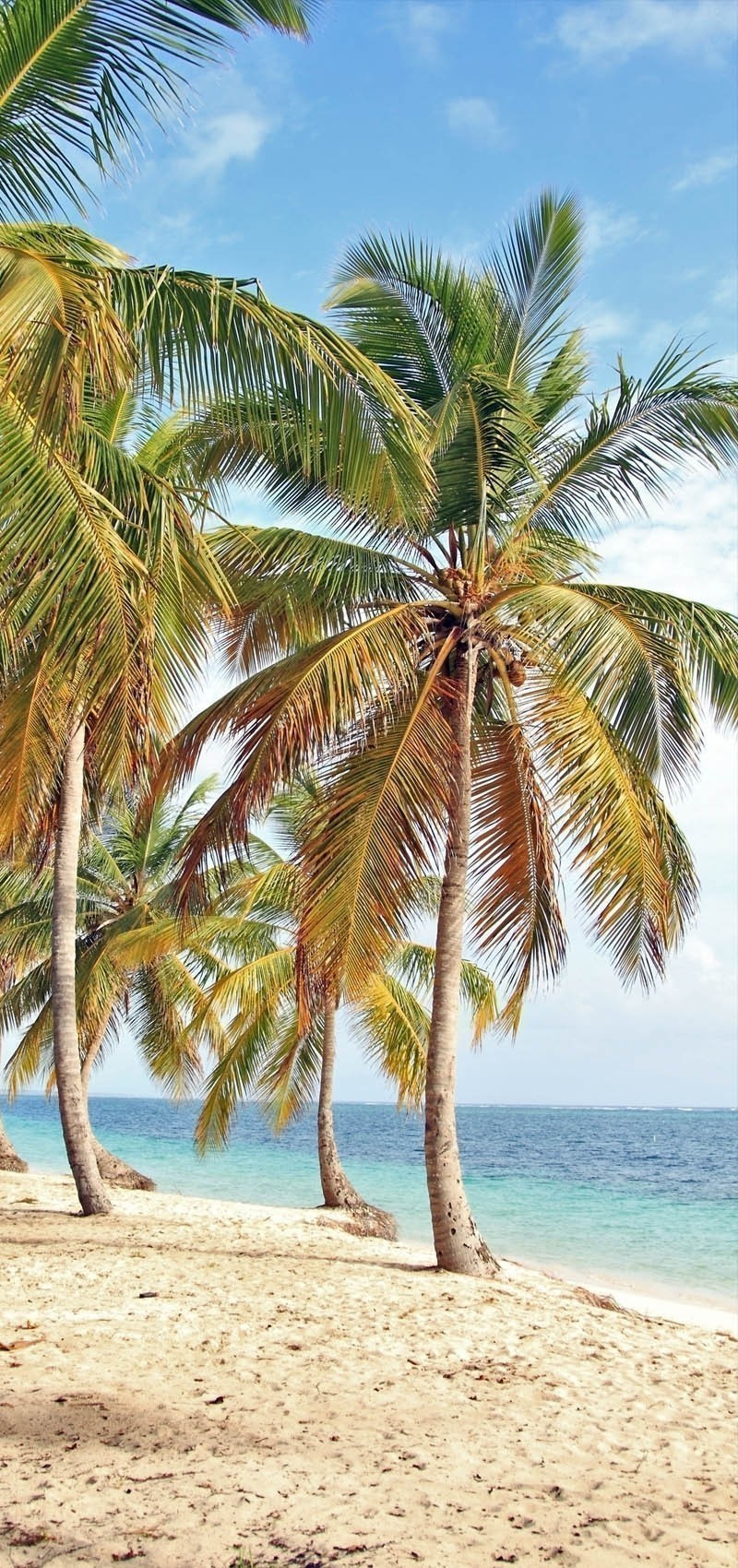 Beautiful beach in Punta Cana | 7 Reasons Why You Should Visit Punta Cana
