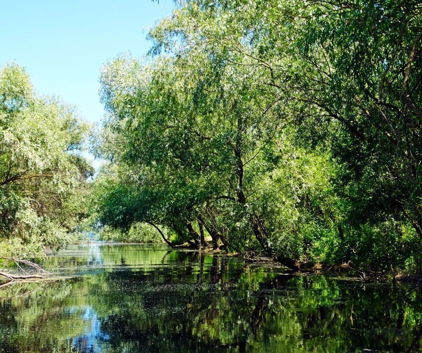 A typical landscape in Danube Delta | 5 Reasons Why Romania is the Country Every Traveler Needs to Visit