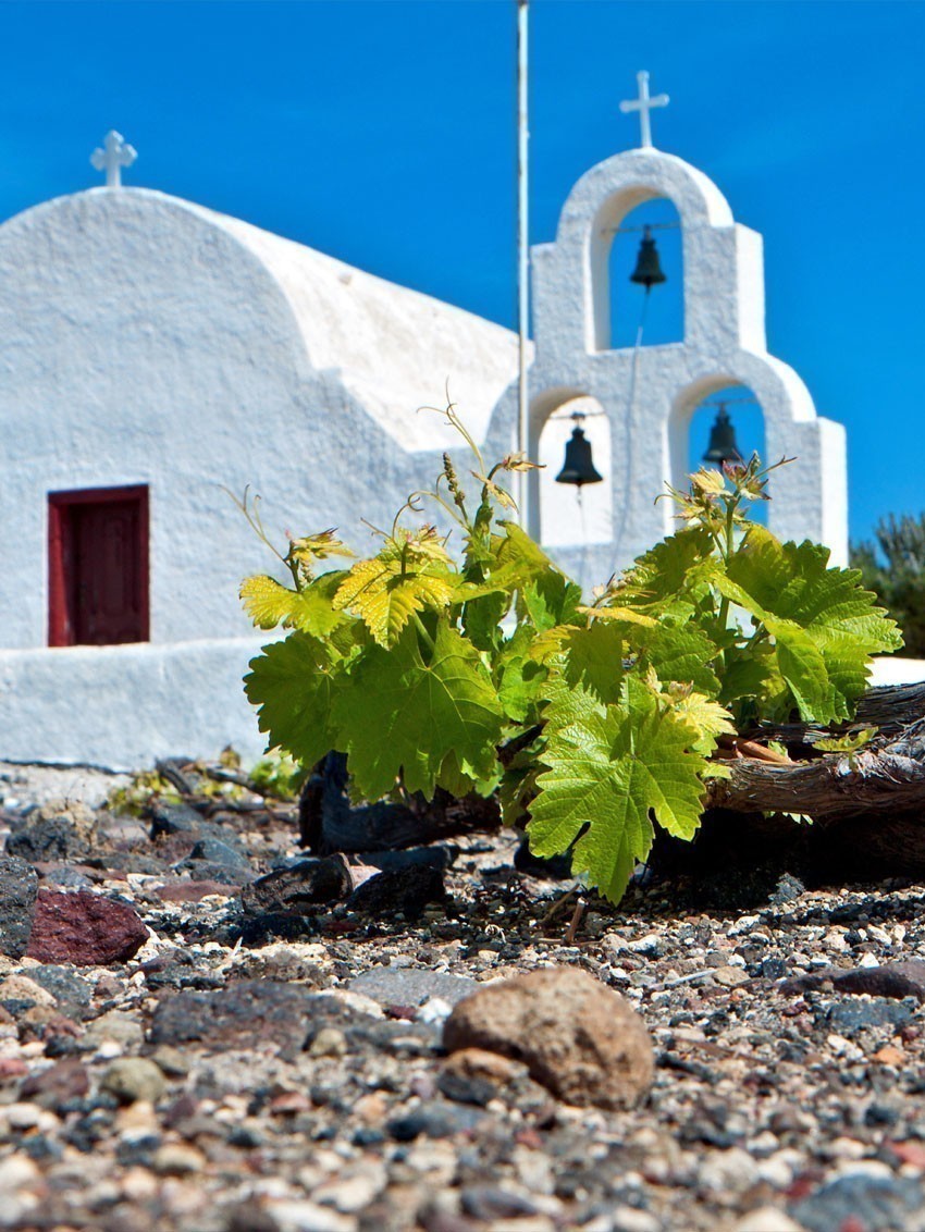 10 Amazing Wine Regions to Visit Before you Die Must Visit