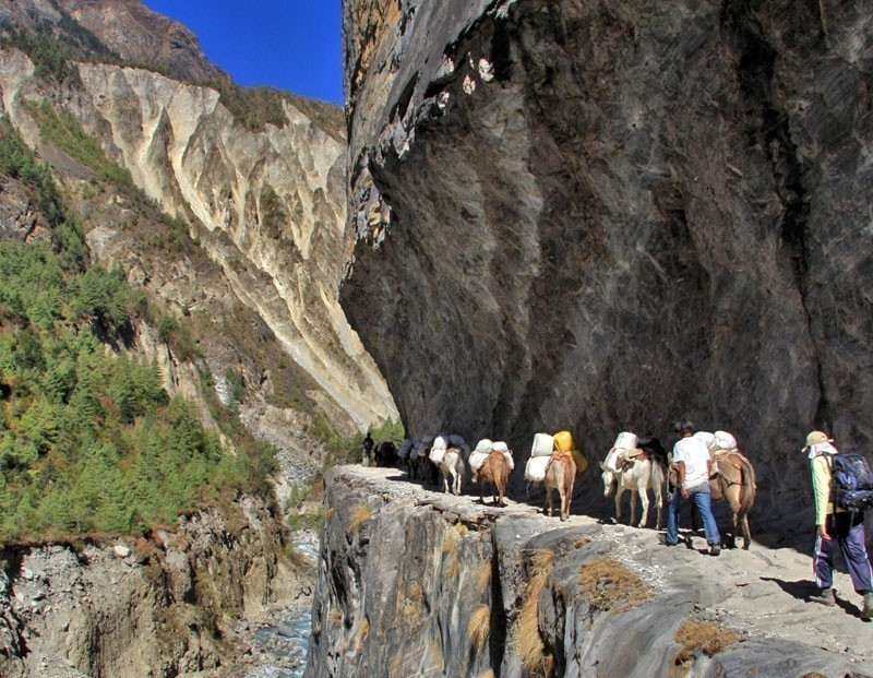 Donkey train in the Annapurna region | 10 Top-Rated Tourist Attractions in Nepal