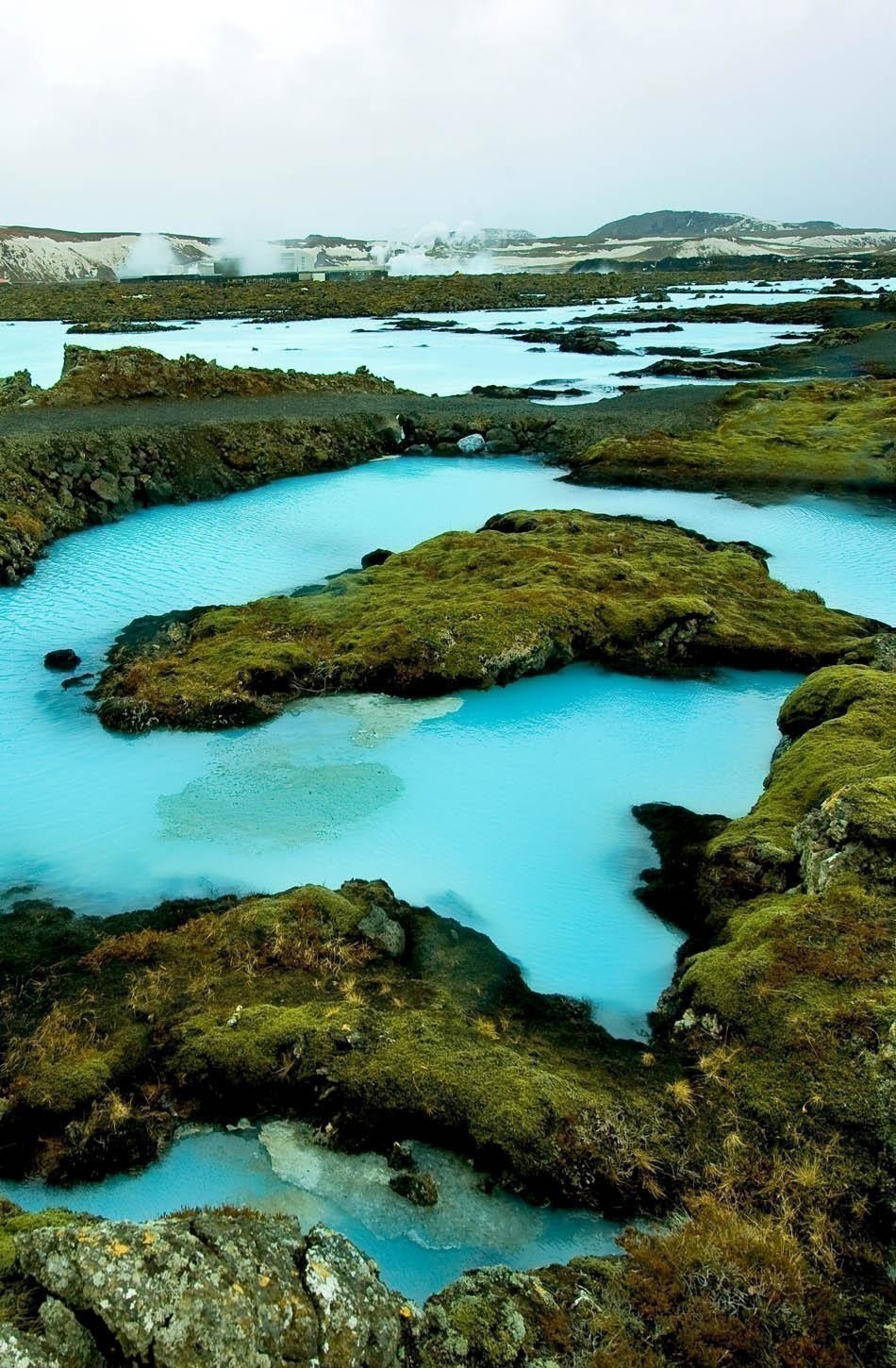 The blue water between the lava stones covered with moss just outside the Blue Lagoon resort of Iceland | Iceland Travel Guide