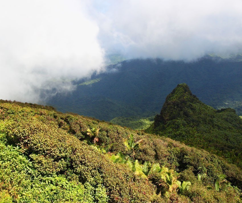 Mist covers the rainforest peaks of El Yunque National Forest in Puerto Rico | Puerto Rico Travel Guide