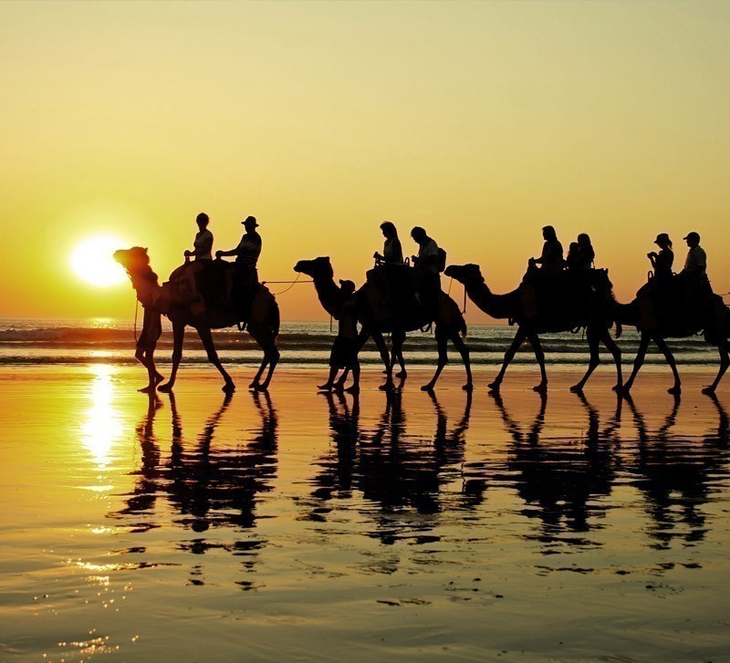 Camel ride in Cable Beach, Broome | Top 10 Australian Beaches That You Must Include in Your Bucket List