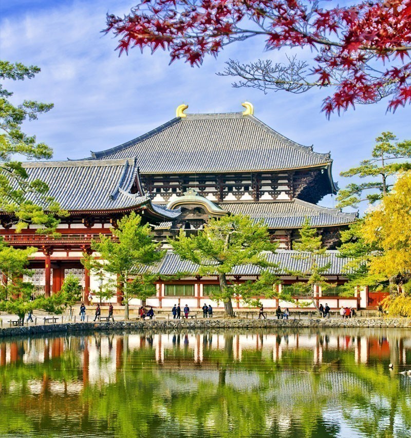 Amazing View of Todaiji Buddhist Temple in Nara | TOP 10 Tourist Attractions in Japan You Must Visit