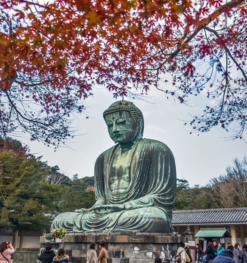 Scenery of the Great Amida Buddha at the Kotoku-in temple in late autumn. | TOP 10 Tourist Attractions in Japan You Must Visit